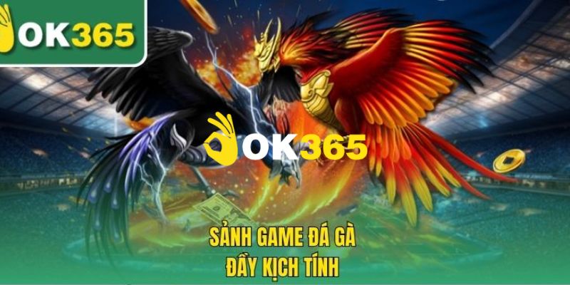 Chuyên mục đá gà hấp dẫn đỉnh cao 2025